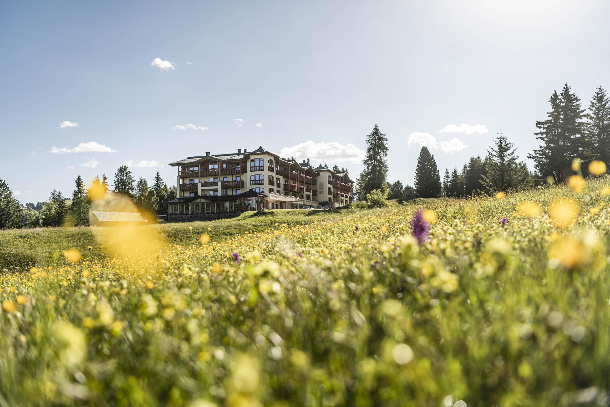 Hotel Steger-Dellai Alpe Di Siusi Ngoại thất bức ảnh